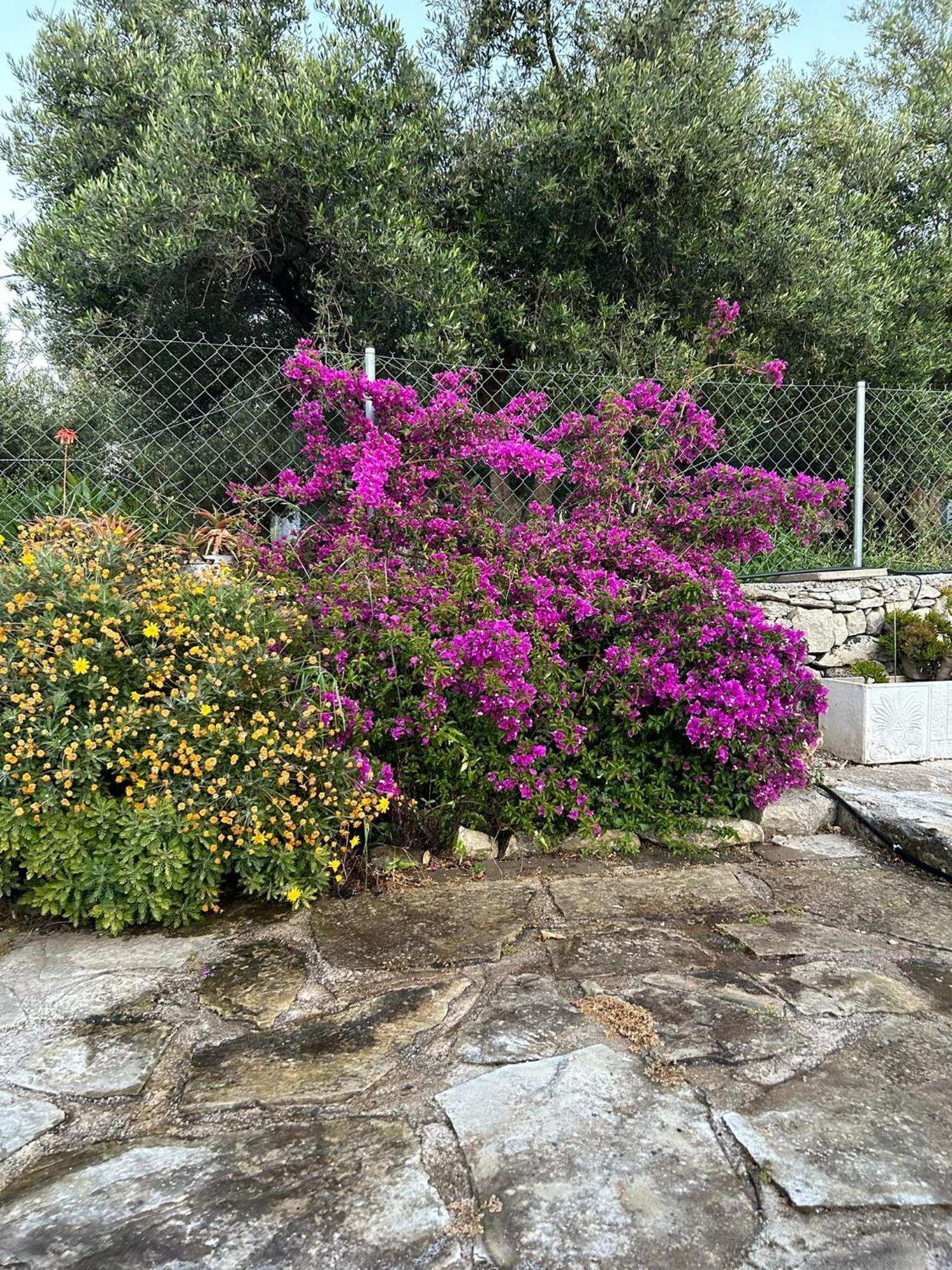 Old Stone Villa In Apokoronas Villa Nostalgia Kreta Fílippos Exterior foto